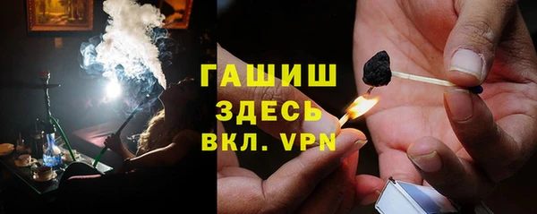 прущие грибы Алзамай
