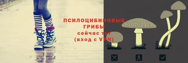 амф Алексин