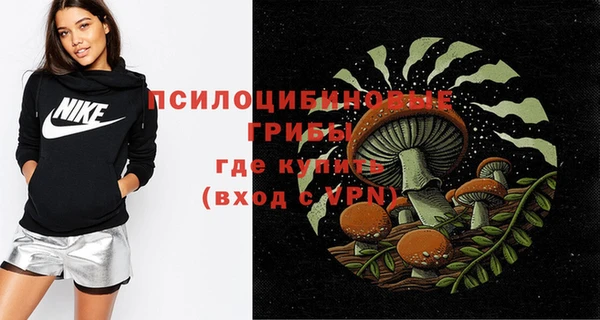 амф Алексин