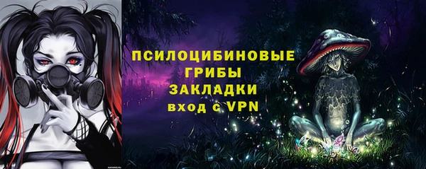 прущие грибы Алзамай
